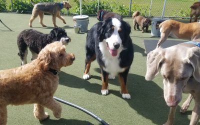 5-24-25 Playtime! :)