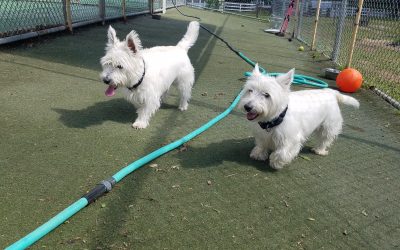 5-25-25 Playtime! :)