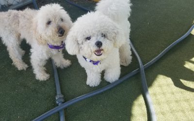 5-26-25 Playtime! :)