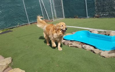 5-27-25 Playtime! :)