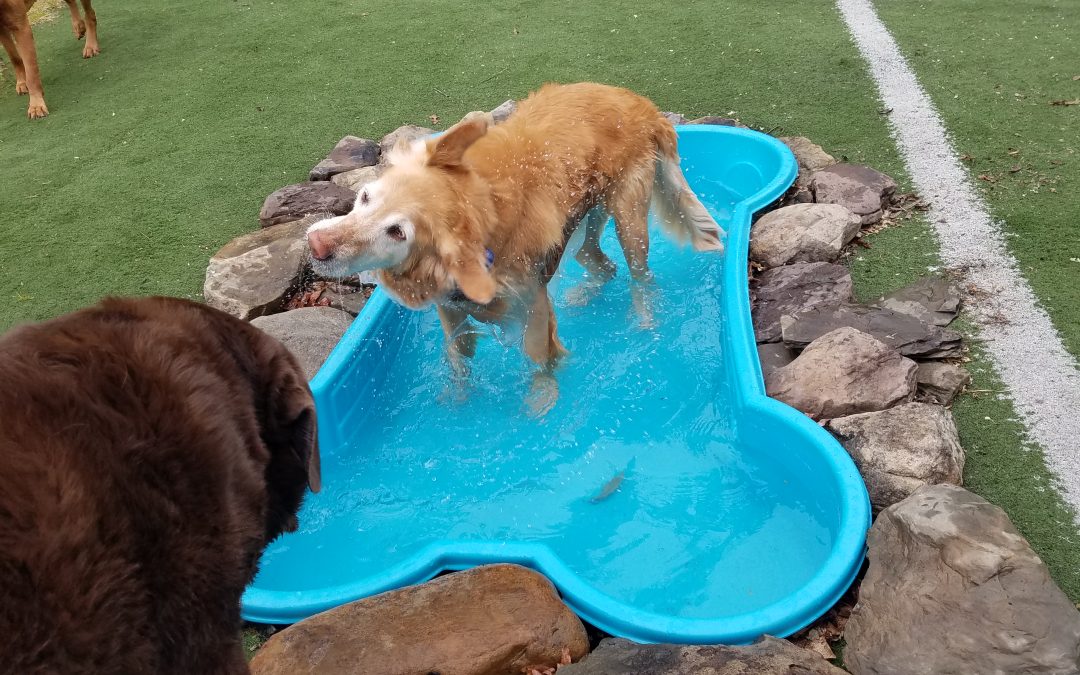 5-28-25 playtime!:)