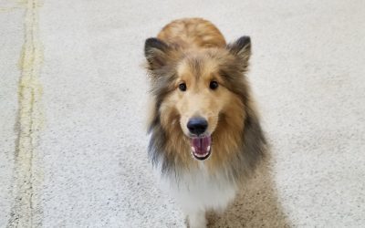 5-29-25 Playtime! :)