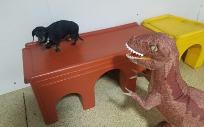 5-29-25 Dino Activities! :)