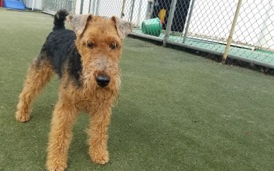 5-30-25 Playtime! :)