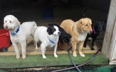 5-31-25 Playtime! :)