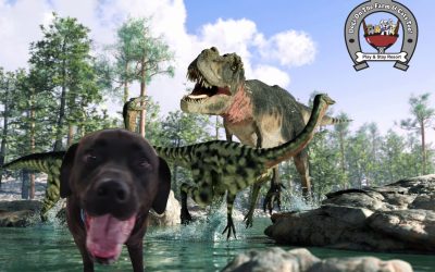 Dino Party Souvenir Pics