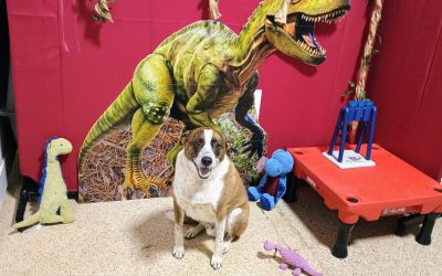 Enrichment & Small Group Activities 5_16_25 :)