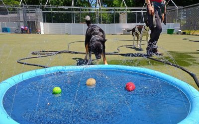 5-20-2025 Sprinkler play! :)