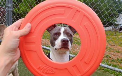 5-27-25 Small Group! :)