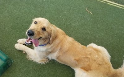 6-3-2025 Playtime! :)