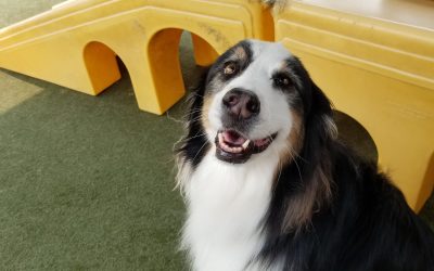 6-4-2025 Playtime! :)