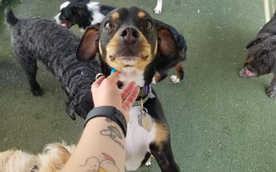 6-6-2025 Playtime! :)