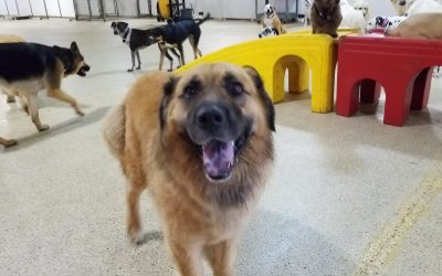 6-10-2025 Playtime! :)