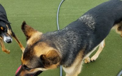 6-10-25 Small group and Strongman Challenge