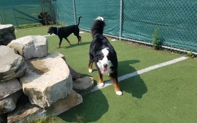 6-11-25 Playtime! : )