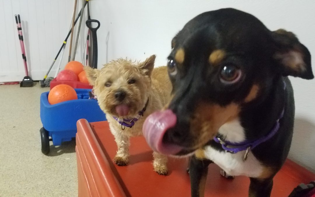 6-15-25 Playtime! :)