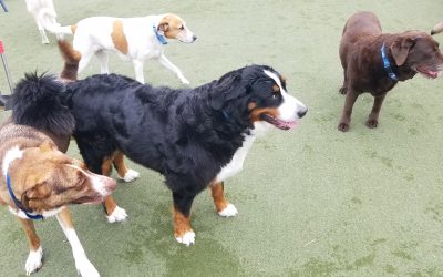 6-27-25 Playtime! :)