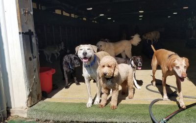 6-30-25 Playtime! :)