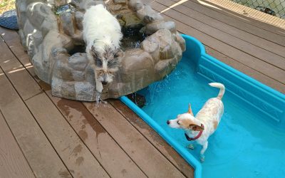 6-30-25 Birthday Party Activities! :)