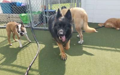 7-1-2025 Playtime! :)