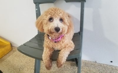 7-2-25 Playtime! : )