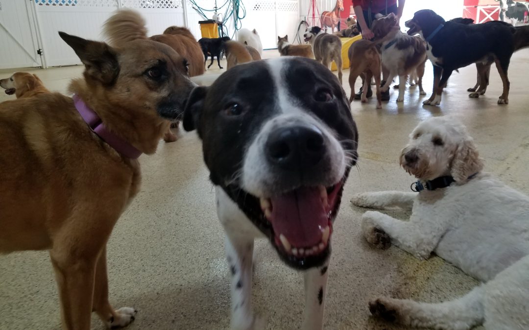 Play time (in AC!) 7/9