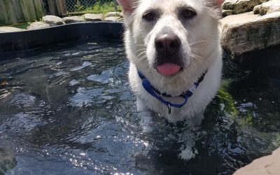 7-16-25 Playtime! : )