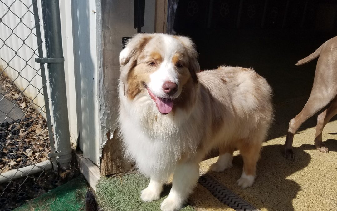 7/20/2025 Indoor Playtime at Our Daycare in Matawan NJ