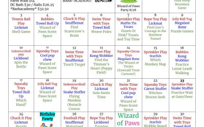 August Calendar of Activities