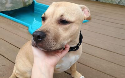 7-2-25 Activities! : )