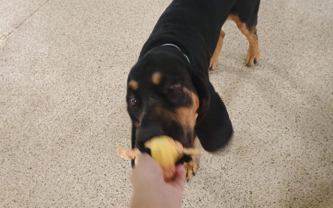 7/20/2025 Enrichment Fun at Our Daycare in Middletown NJ