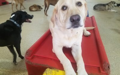 08_17_25 Playtime :-)