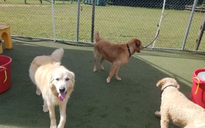 8/19/2025 Playtime! :)