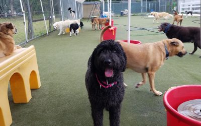 08_20_25 Playtime :-)