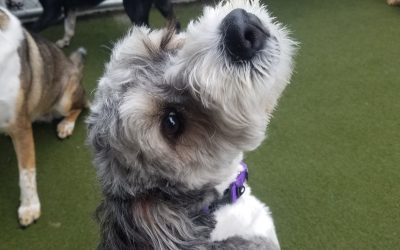 Play time 08_21_25 :)