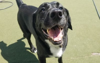 8-25-25 Playtime! :)