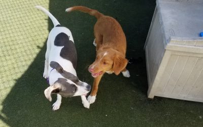 8-27-2025 Playtime! :)