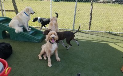 8-28-2025 Playtime!:)