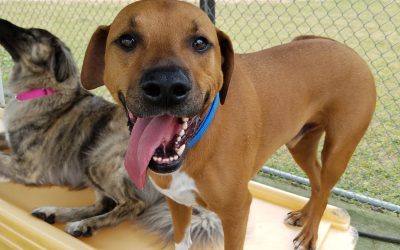 8-29-2025 Playtime! :)