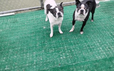 8/18/2025 Playtime! :)