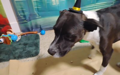 8-21-25 Afternoon Activities! :)