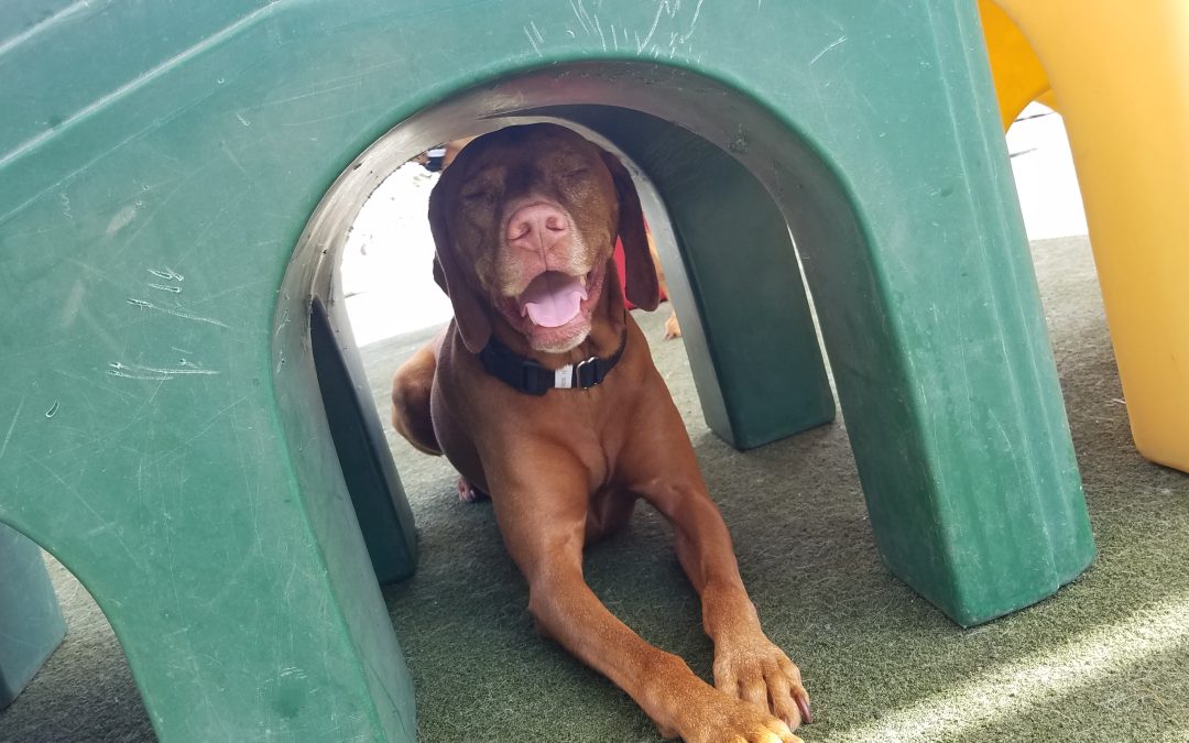 Playtime 9/03/25 :)