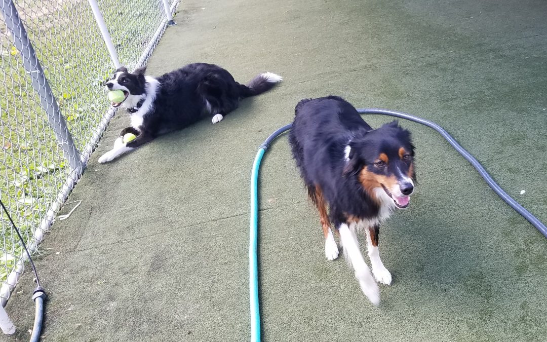 9-4-2025 Playtime! :)