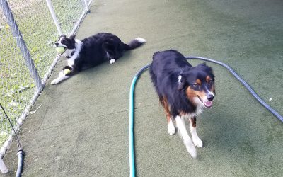 9-4-2025 Playtime! :)