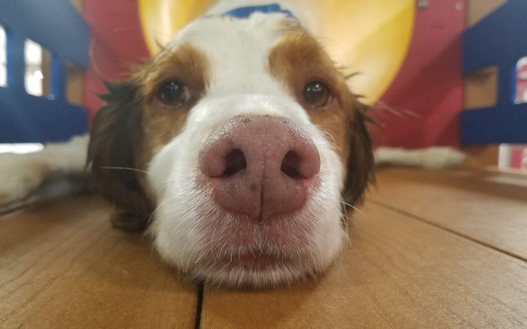 9-6-25 Playtime! :)