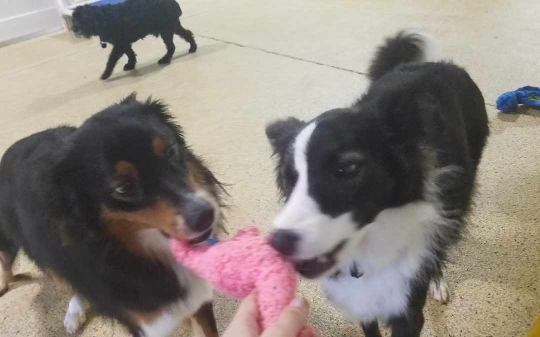 9/7/25 playtime! :)