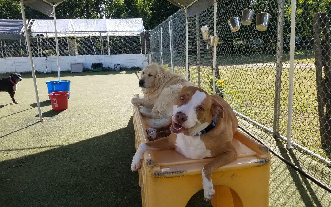 9-8-2025 Playtime! :)