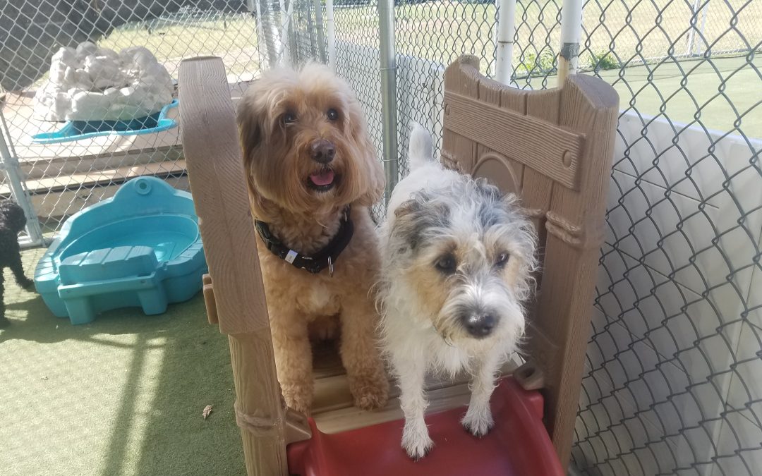 9-11-25 Playtime! :)