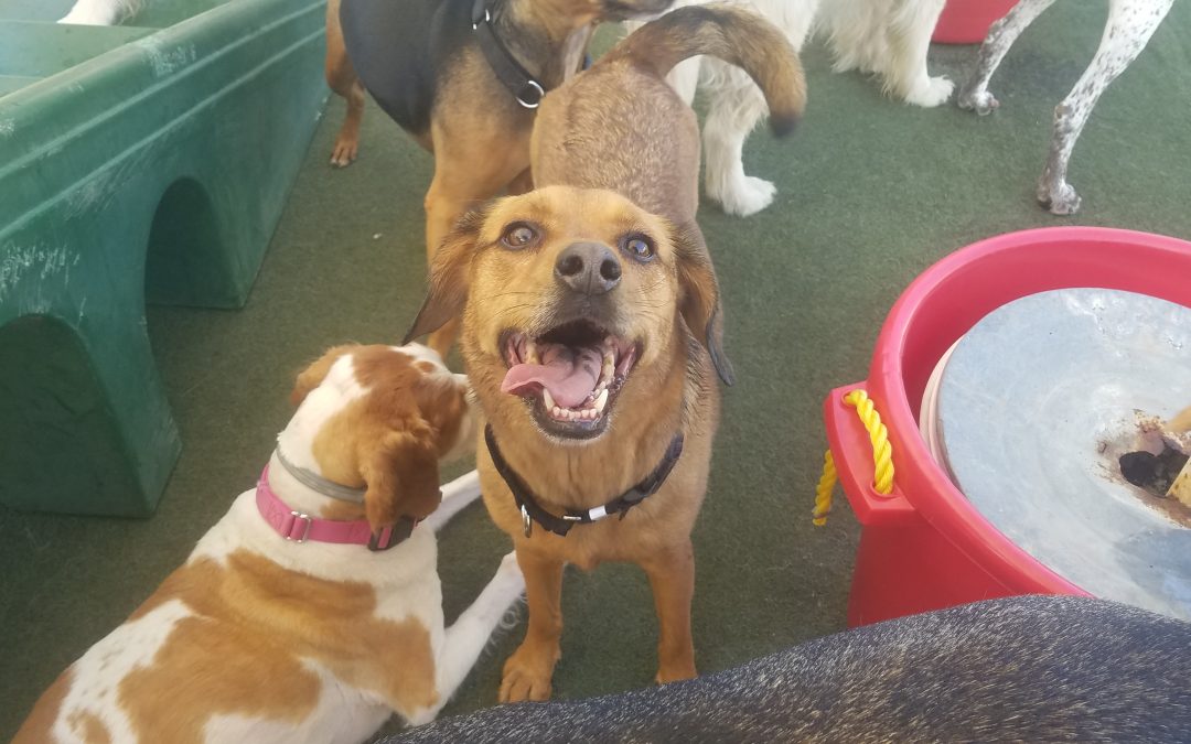 9-14-2025 Playtime! :)