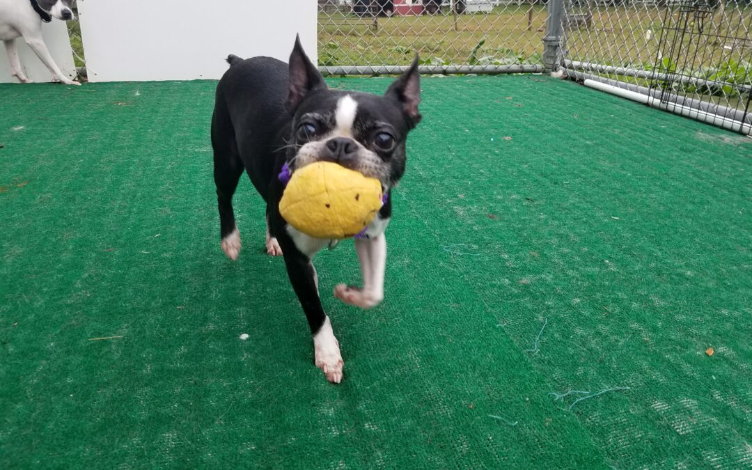 9/25/2025 Playtime! :)